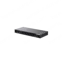 2000 Mbps 16-Port Gigabit Ethernet Switch