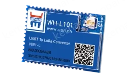 LoRa module