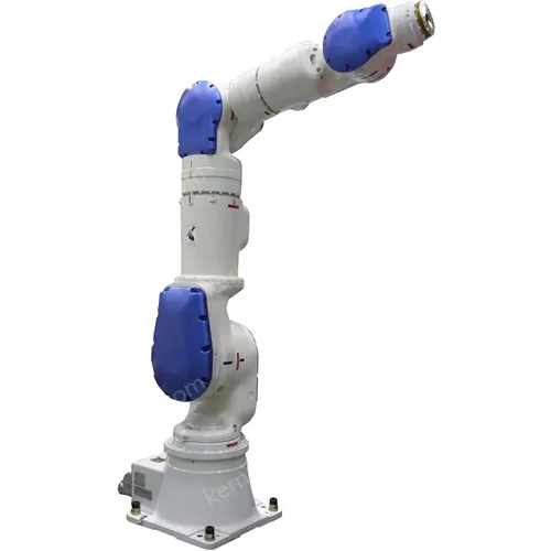 SIA30D High Efficiency Robot