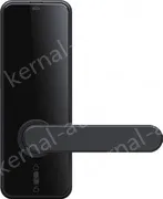 Smart door lock C89
