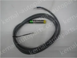 M12 Domenzi Inductive proximity switch NI5-M12-AN6X