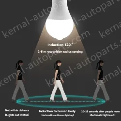 LED human body sensor light bulb-12W